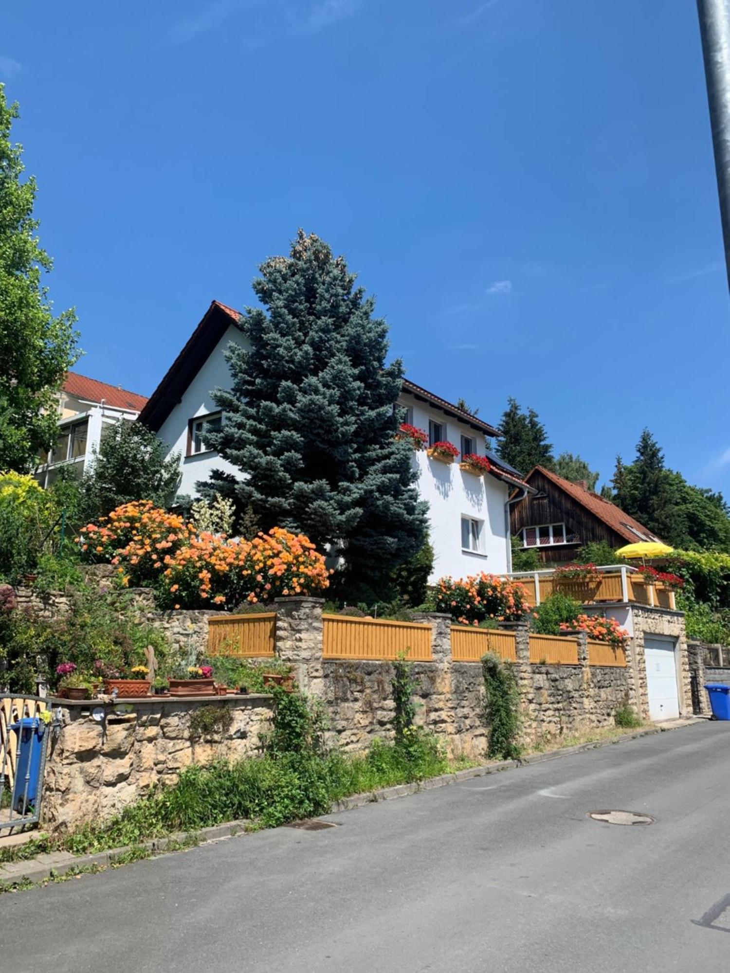 Apartment Fischer *